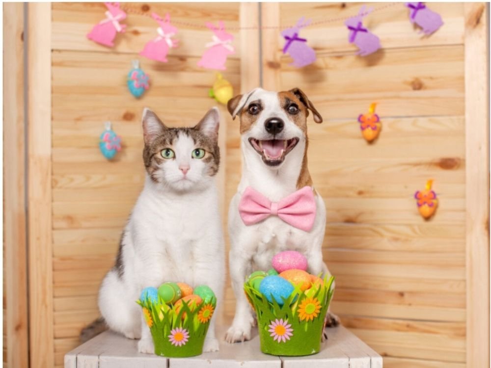 Pets na Páscoa no Esquadrão Pet