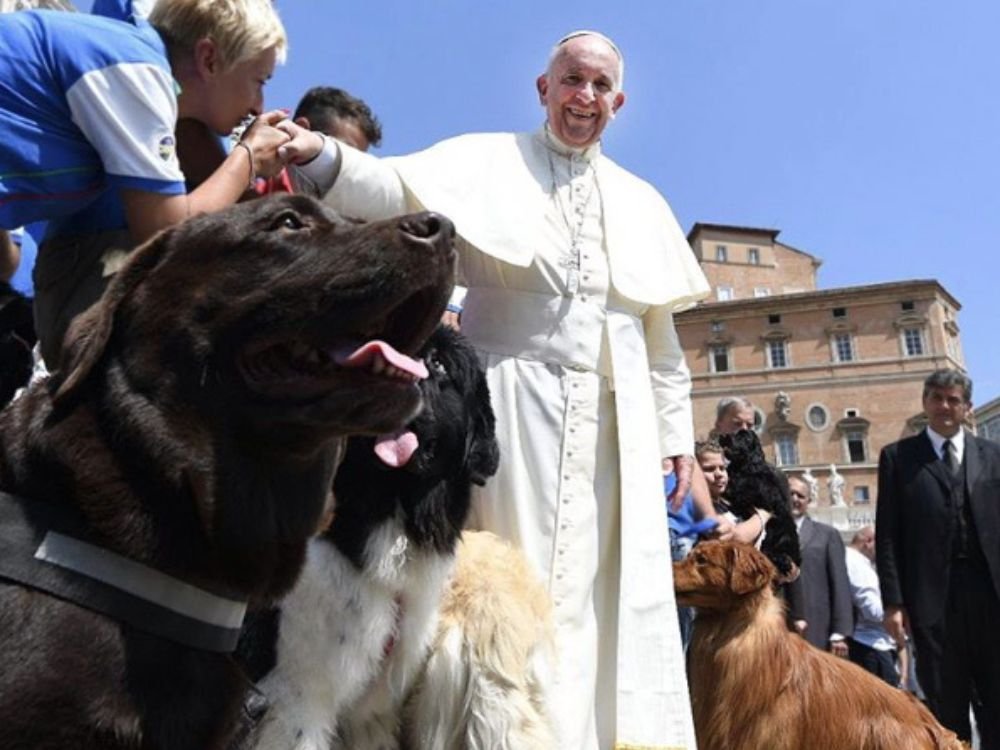Falecimento do Papa Francisco no Esquadrão Pet