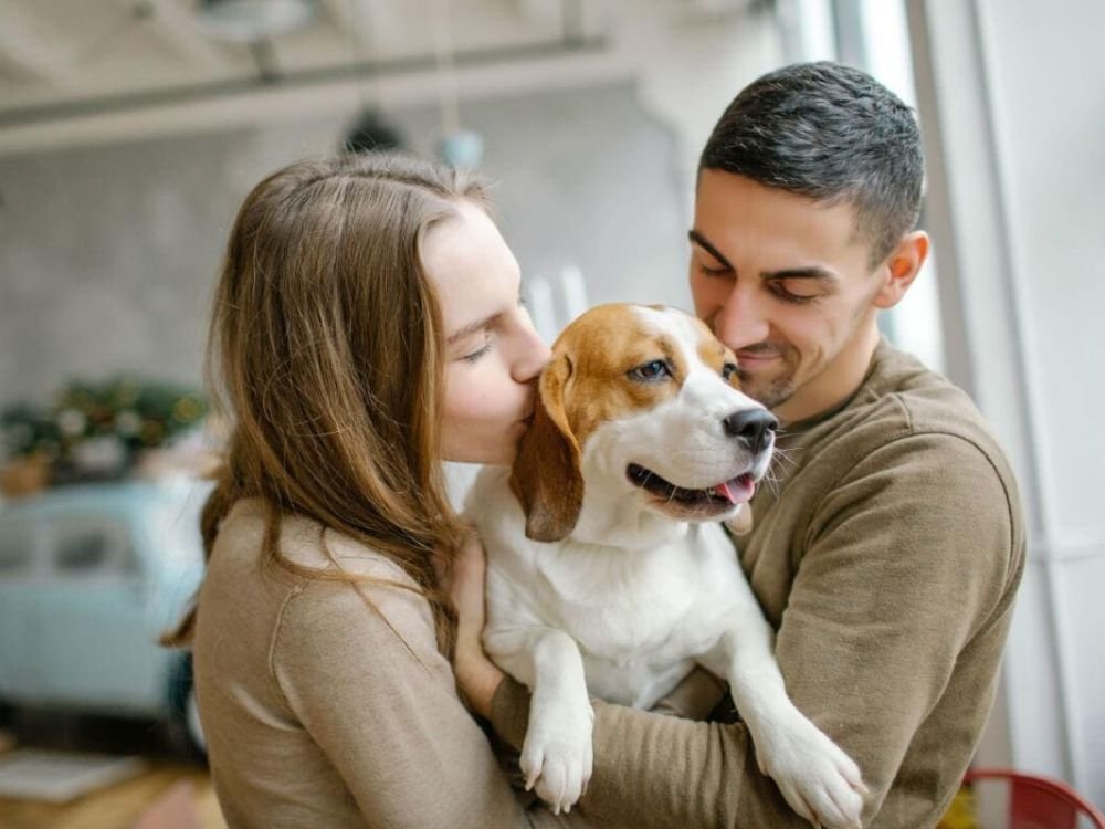 Ansiedade e depressão no Esquadrão Pet