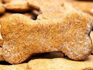 Biscoito de cenoura no Esquadrão Pet