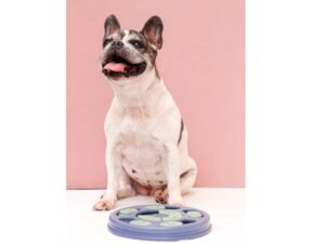 Pet com quebra-cabeça interativo no Esquadrão Pet