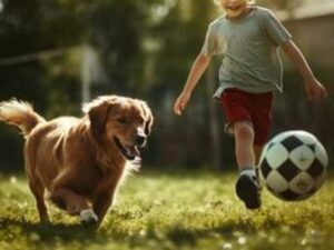 Pet e criança brincado com bola no Esquadrão Pet