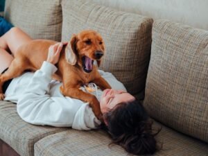 Tutor e pet relaxando no Esquadrão Pet
